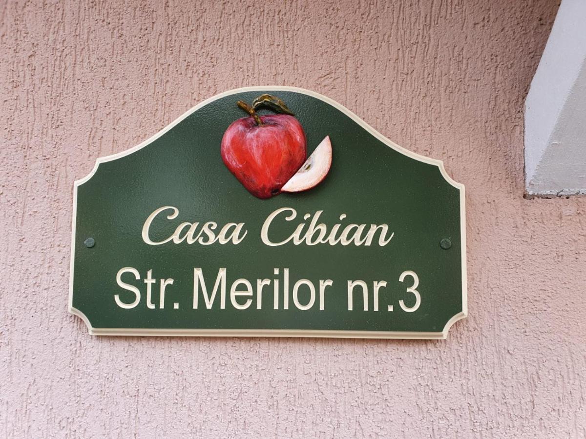Casa Cibian Apartamento Braşov Exterior foto