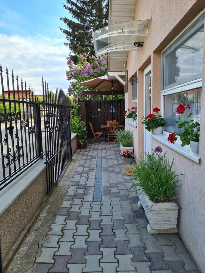 Casa Cibian Apartamento Braşov Exterior foto